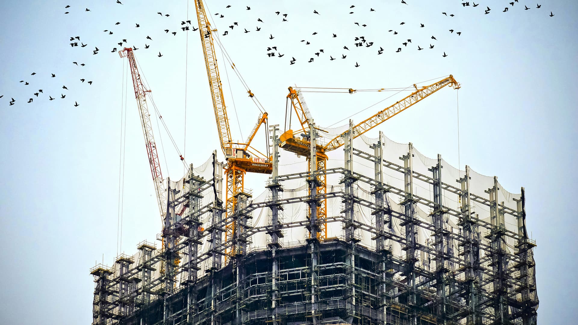cdlc__0003_danist-soh-8Gg2Ne_uTcM-unsplash